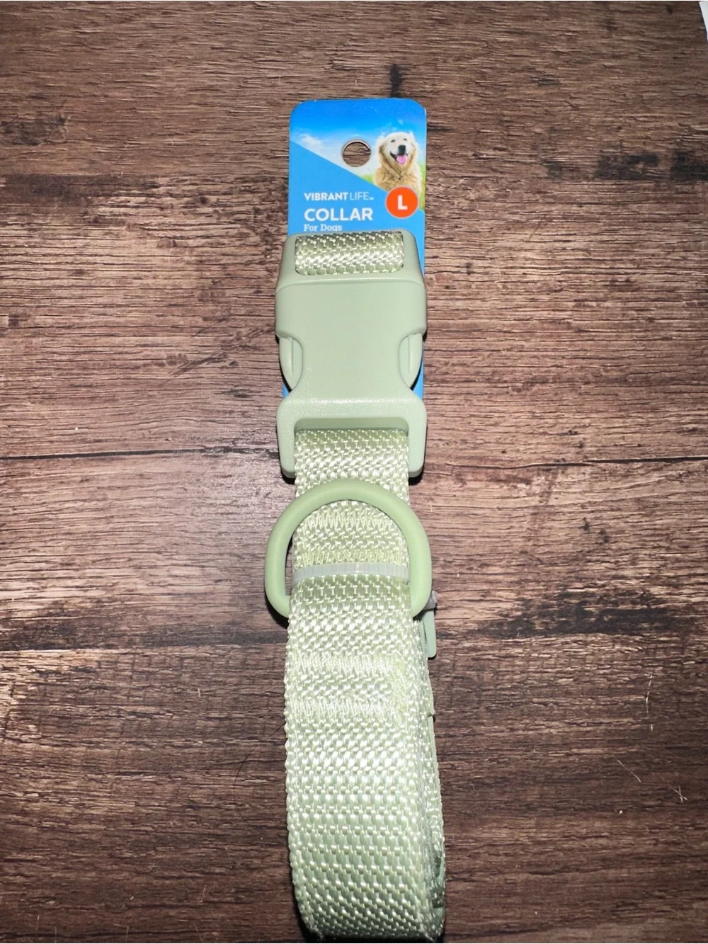Vibrant Pale Green Dog Collar with Easy-Release Buckle